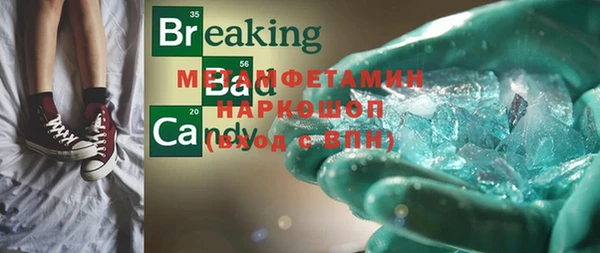 шишки Бородино