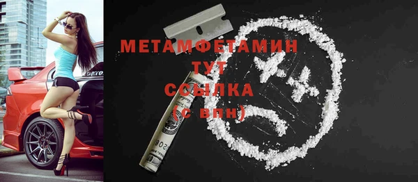 шишки Бородино