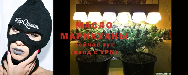 шишки Бородино