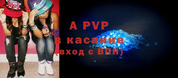 шишки Бородино