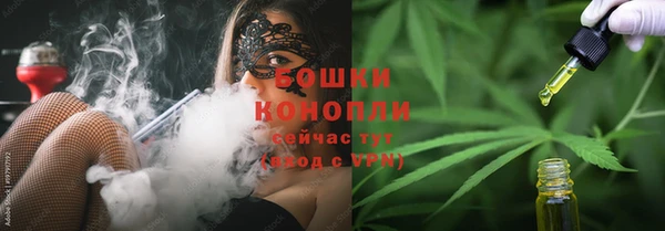 шишки Бородино