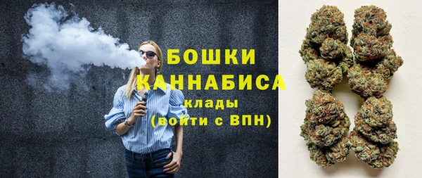 шишки Бородино