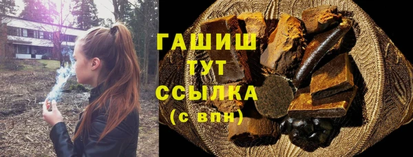 шишки Бородино
