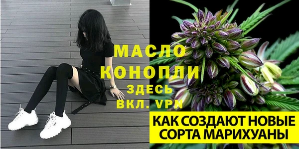 стаф Бронницы