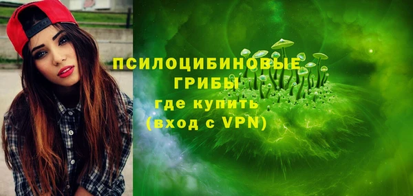 шишки Бородино
