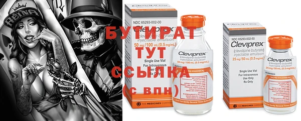 шишки Бородино