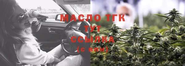 шишки Бородино