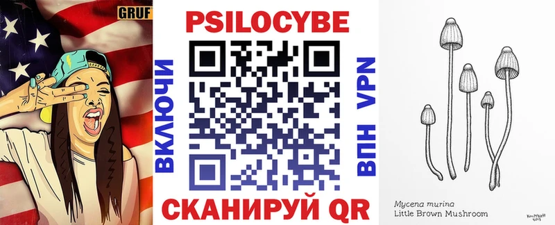 Купить закладки  Бузулук  Галлюциногенные грибы Cubensis 